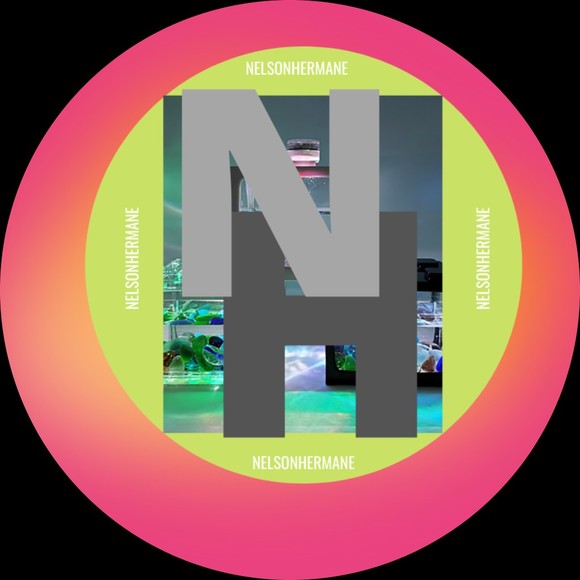 nelsonhermane13